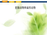 魯科版八年級(jí)生物上冊(cè)第一章7.1.1腔腸動(dòng)物和扁形動(dòng)物教學(xué)課件+訓(xùn)練含答案