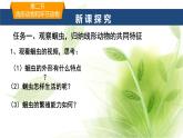 魯科版八年級生物上冊第一章7.1.2線形動物和環(huán)節(jié)動物教學(xué)課件+訓(xùn)練含答案