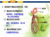 魯科版八年級生物上冊第一章7.1.2線形動物和環(huán)節(jié)動物教學(xué)課件+訓(xùn)練含答案