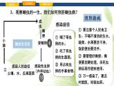 魯科版八年級生物上冊第一章7.1.2線形動物和環(huán)節(jié)動物教學(xué)課件+訓(xùn)練含答案