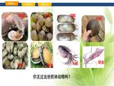 魯科版八年級生物上冊第一章7.1.3軟體動物和節(jié)肢動物教學(xué)課件+訓(xùn)練含答案