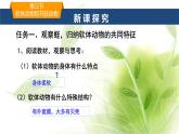 魯科版八年級生物上冊第一章7.1.3軟體動物和節(jié)肢動物教學(xué)課件+訓(xùn)練含答案