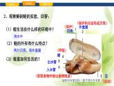 魯科版八年級生物上冊第一章7.1.3軟體動物和節(jié)肢動物教學(xué)課件+訓(xùn)練含答案