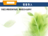 魯科版八年級(jí)生物上冊(cè)第一章7.1.4魚類教學(xué)課件+訓(xùn)練含答案