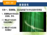 魯科版八年級(jí)生物上冊(cè)第一章7.1.4魚類教學(xué)課件+訓(xùn)練含答案