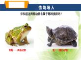 魯科版八年級生物上冊第一章7.1.5兩棲動物和爬行動物教學(xué)課件+訓(xùn)練含答案