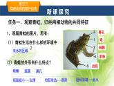 魯科版八年級生物上冊第一章7.1.5兩棲動物和爬行動物教學(xué)課件+訓(xùn)練含答案