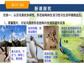 魯科版八年級(jí)生物上冊(cè)第一章7.1.6鳥(niǎo)類教學(xué)課件+訓(xùn)練含答案