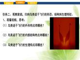 魯科版八年級(jí)生物上冊(cè)第一章7.1.6鳥(niǎo)類教學(xué)課件+訓(xùn)練含答案
