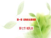 魯科版八年級生物上冊第一章7.1.7哺乳類教學(xué)課件+訓(xùn)練含答案