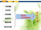 魯科版八年級生物上冊第一章7.1.7哺乳類教學(xué)課件+訓(xùn)練含答案