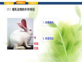 魯科版八年級生物上冊第一章7.1.7哺乳類教學(xué)課件+訓(xùn)練含答案
