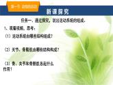 魯科版八年級生物上冊第二章7.2.1動物的運動教學課件+訓練含答案