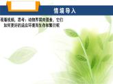 魯科版八年級生物上冊第二章7.2.2先天性行為和學習行為教學課件+訓練含答案