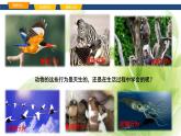 魯科版八年級生物上冊第二章7.2.2先天性行為和學習行為教學課件+訓練含答案
