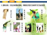 魯科版八年級生物上冊第二章7.2.2先天性行為和學習行為教學課件+訓練含答案