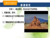 魯科版八年級(jí)生物上冊(cè)第二章7.2.3社會(huì)行為教學(xué)課件+訓(xùn)練含答案