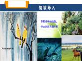 魯科版八年級生物上冊第三章7.3.1動物在自然界中的作用教學(xué)課件+訓(xùn)練含答案