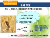 魯科版八年級生物上冊第三章7.3.1動物在自然界中的作用教學(xué)課件+訓(xùn)練含答案