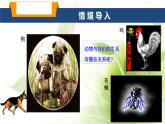 魯科版八年級生物上冊第三章7.3.2動物與人類生活的關(guān)系教學(xué)課件+訓(xùn)練含答案