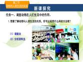 魯科版八年級生物上冊第三章7.3.2動物與人類生活的關(guān)系教學(xué)課件+訓(xùn)練含答案