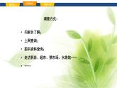 魯科版八年級生物上冊第三章7.3.2動物與人類生活的關(guān)系教學(xué)課件+訓(xùn)練含答案