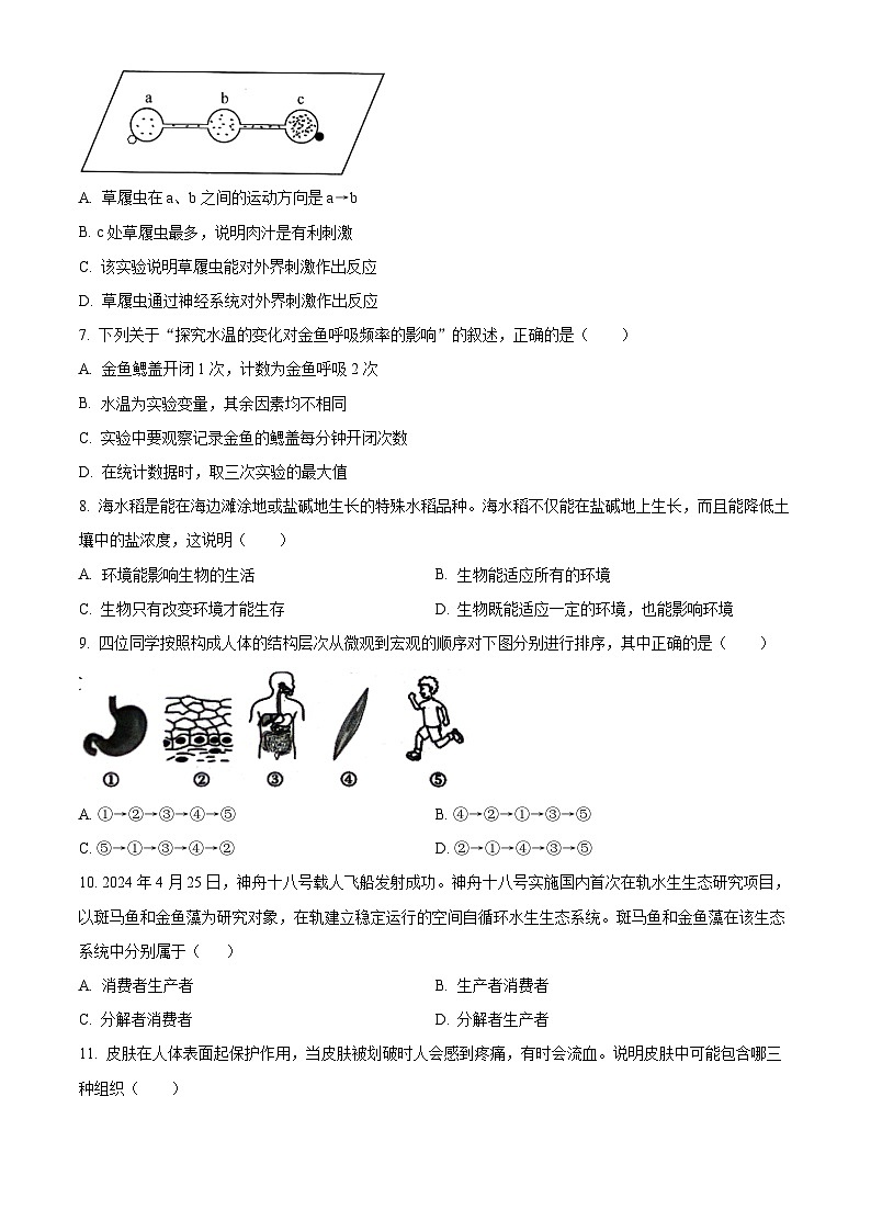 江苏省宿迁市宿城区2024-2025学年七年级上学期期末生物试题（原卷版+解析版）第2页