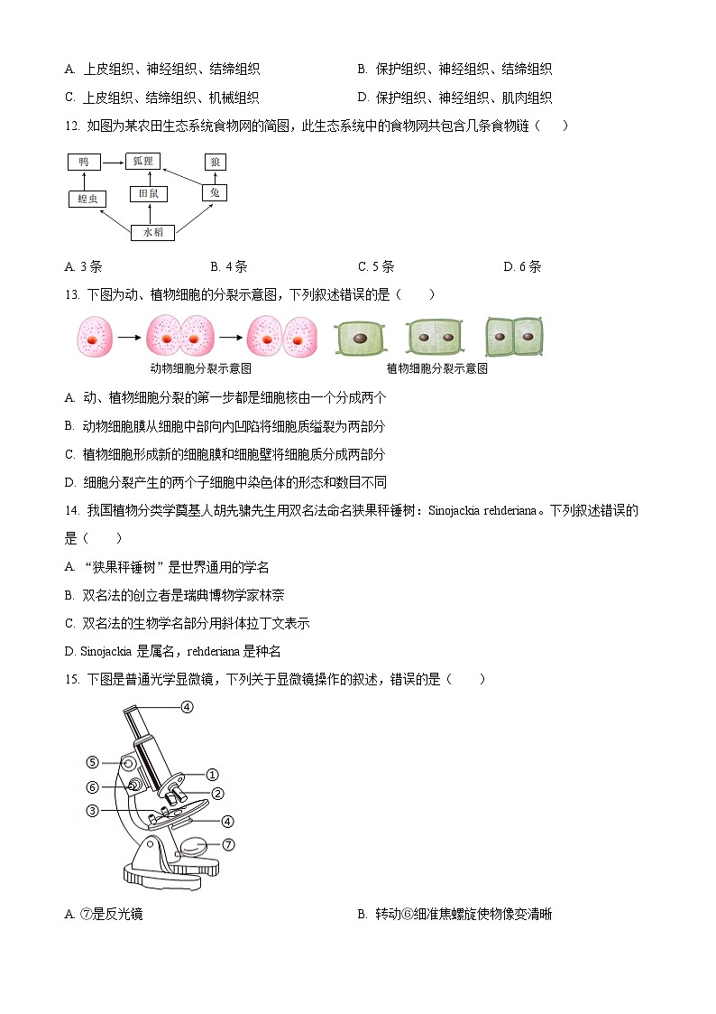 江苏省宿迁市宿城区2024-2025学年七年级上学期期末生物试题（原卷版+解析版）第3页
