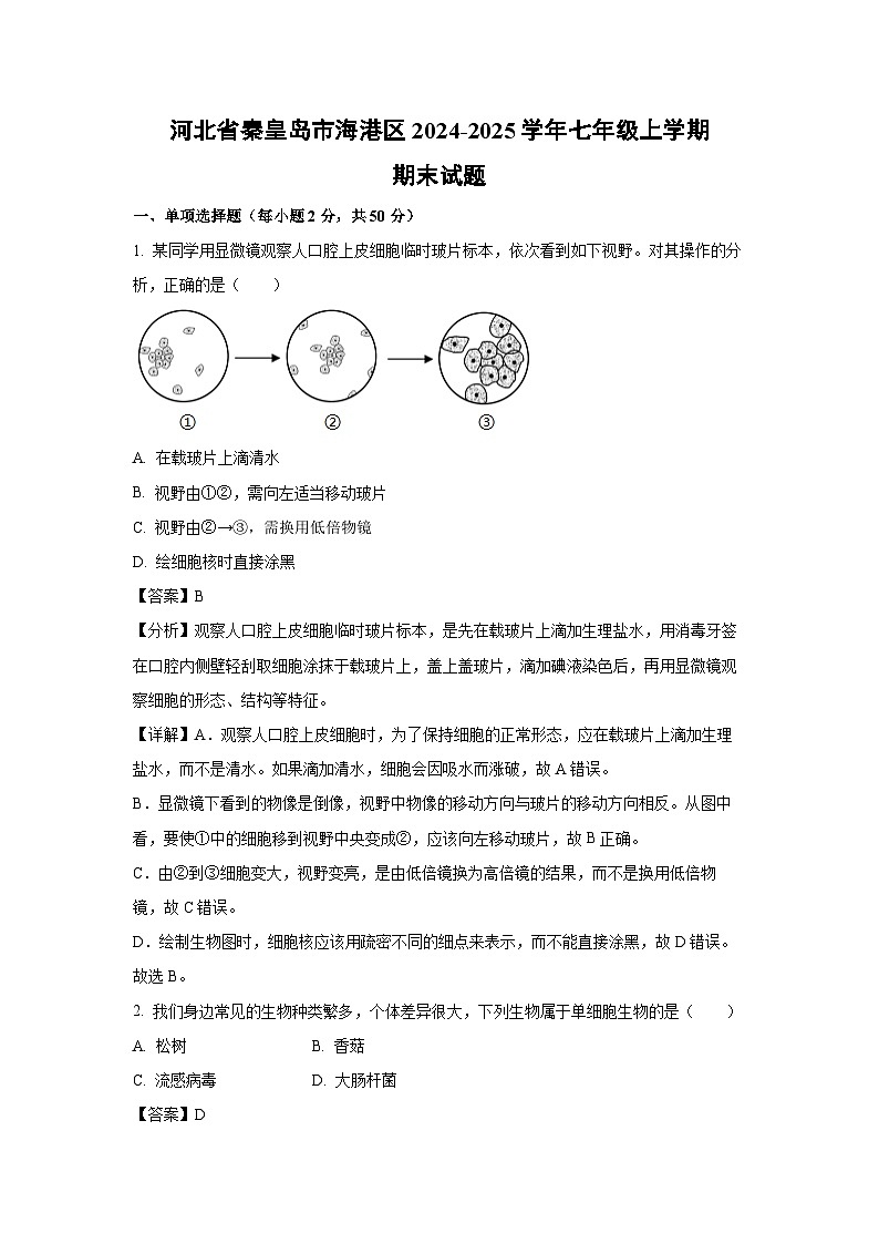 2024~2025学年河北省秦皇岛市海港区七年级上学期期末生物试卷（解析版）第1页