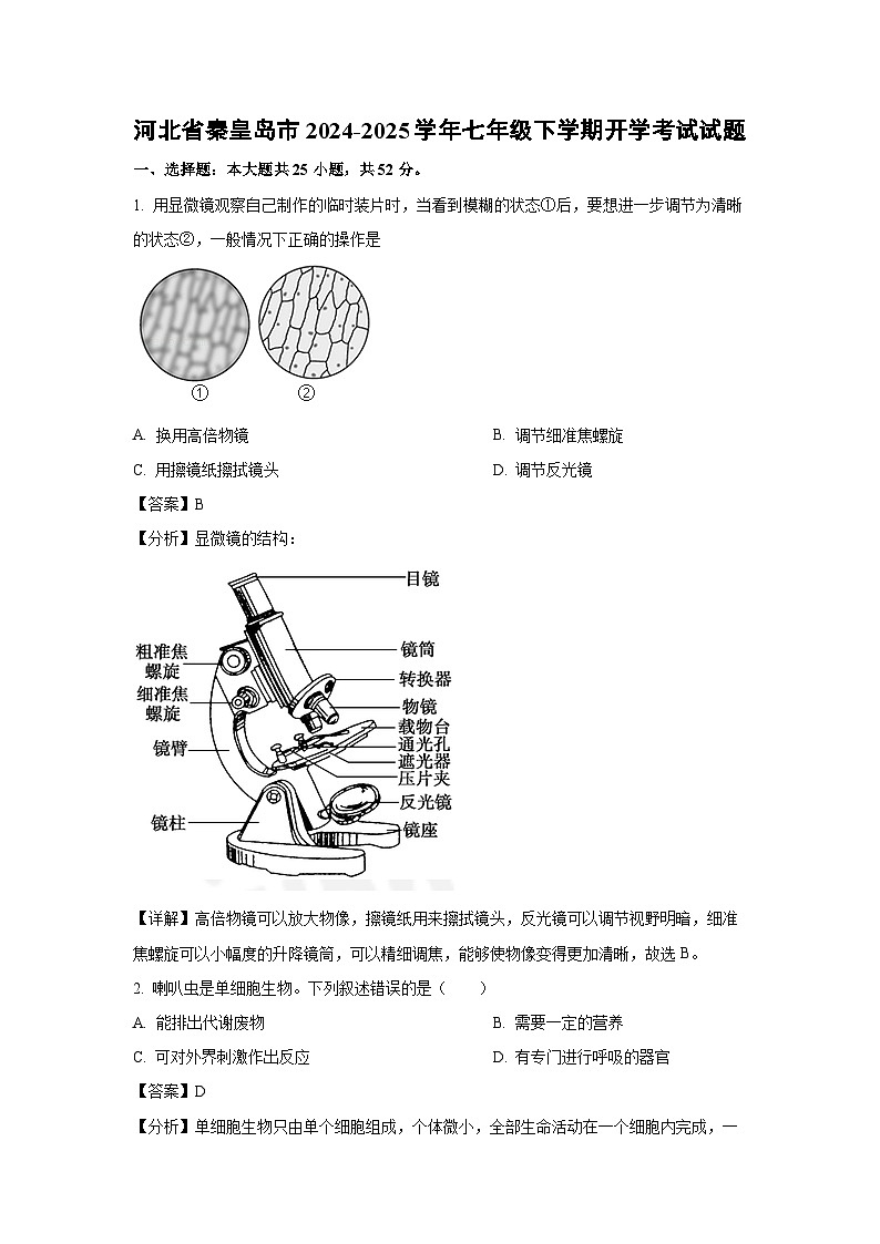 2024~2025学年河北省秦皇岛市七年级下学期开学考试生物试卷（解析版）第1页