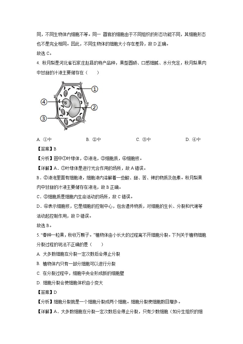 2024~2025学年河北省秦皇岛市七年级下学期开学考试生物试卷（解析版）第3页