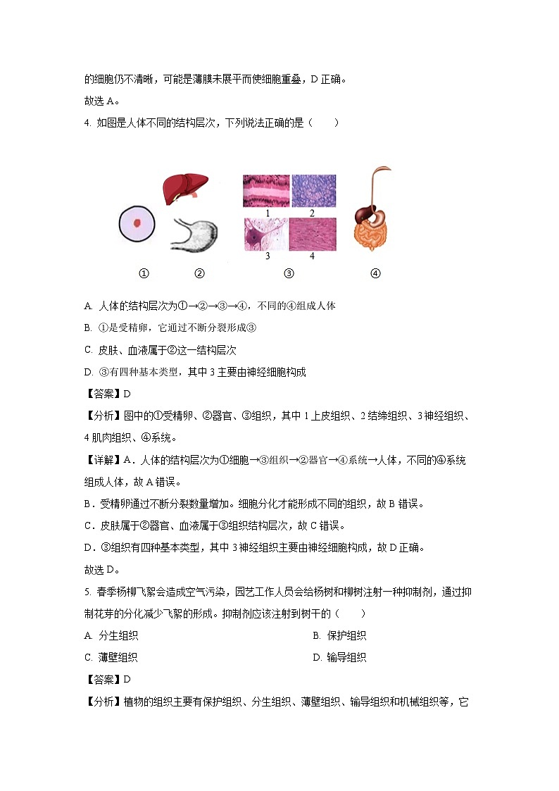 2024~2025学年河北省唐山市丰南区七年级上学期期末生物试卷（解析版）第3页