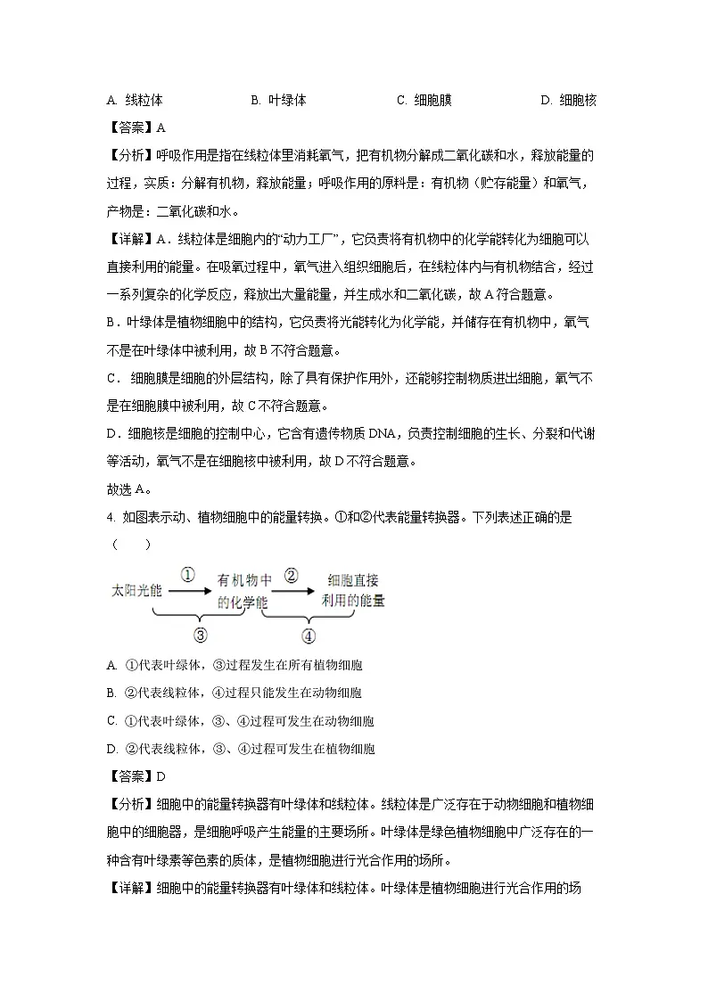 2024~2025学年河北省唐山市丰润区七年级上学期期末生物试卷（解析版）第3页