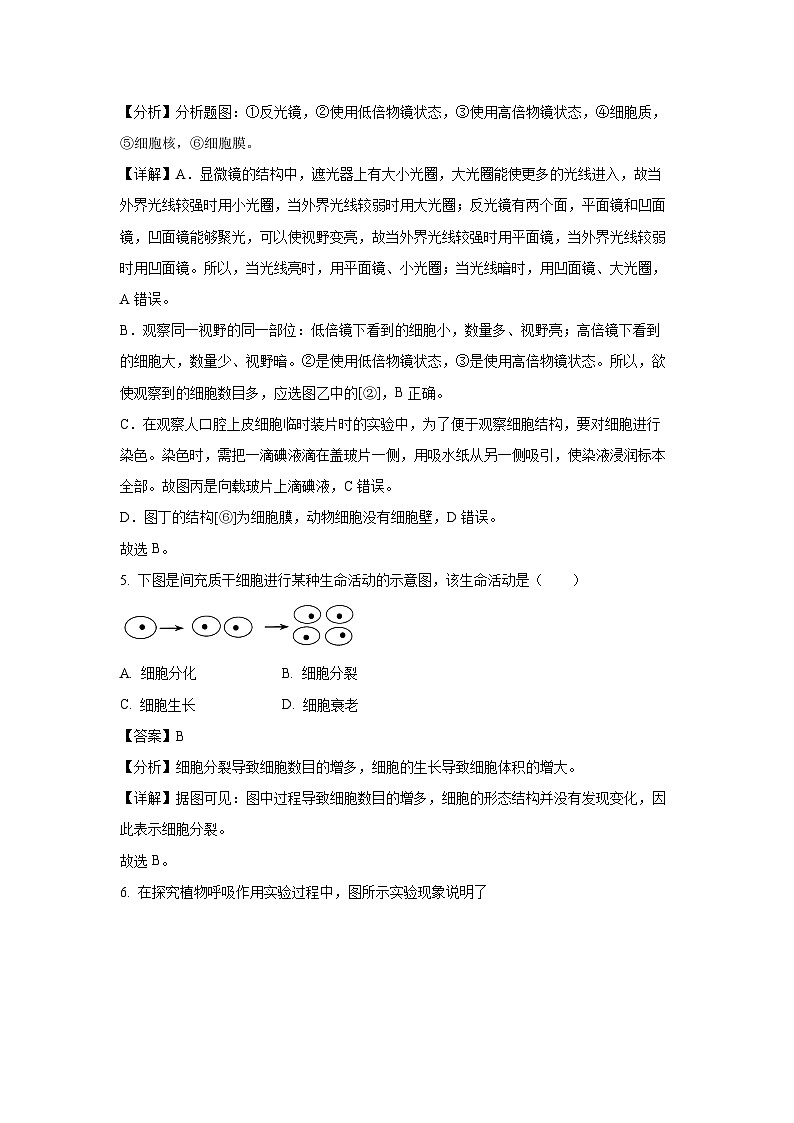 2024~2025学年辽宁省抚顺市新宾满族自治县七年级上学期期末生物试卷（解析版）第3页