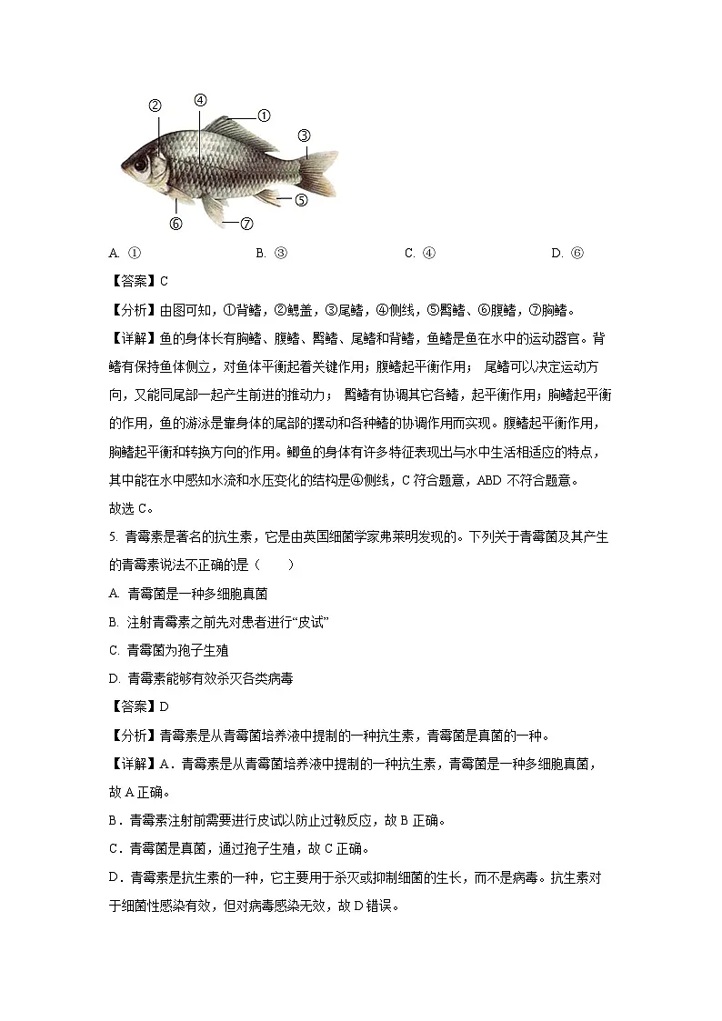 2024~2025学年甘肃省平凉市庄浪县七年级上学期期末生物试卷（解析版）第3页