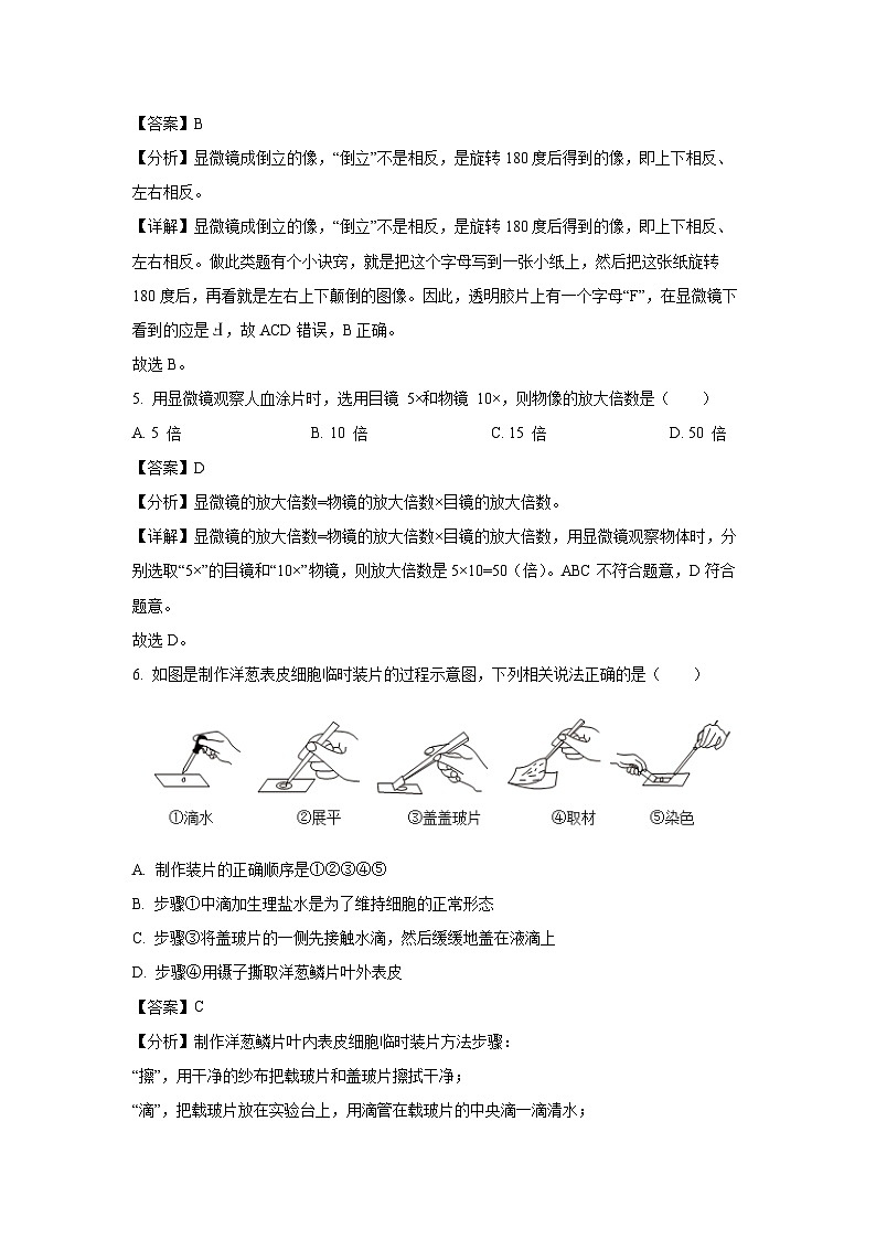 2024~2025学年湖南省衡阳市祁东县七年级上学期期末生物试卷（解析版）第3页