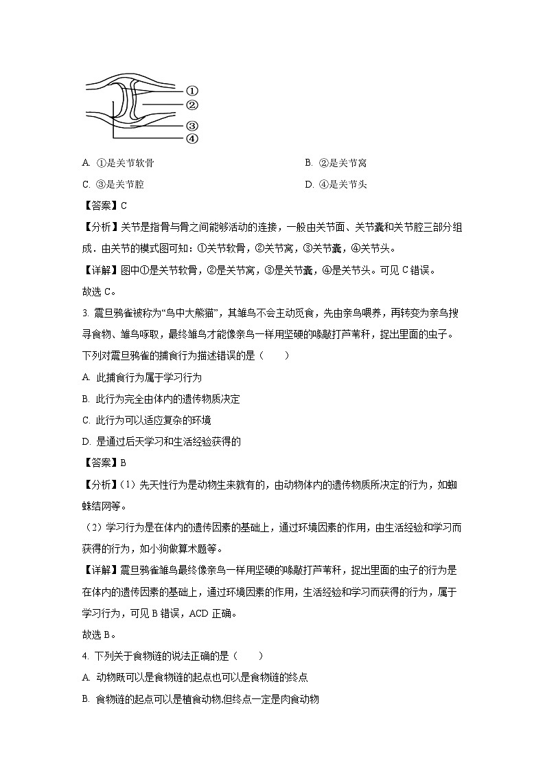 2024~2025学年河南省新乡市辉县市八年级上学期期末生物试卷（解析版）第2页