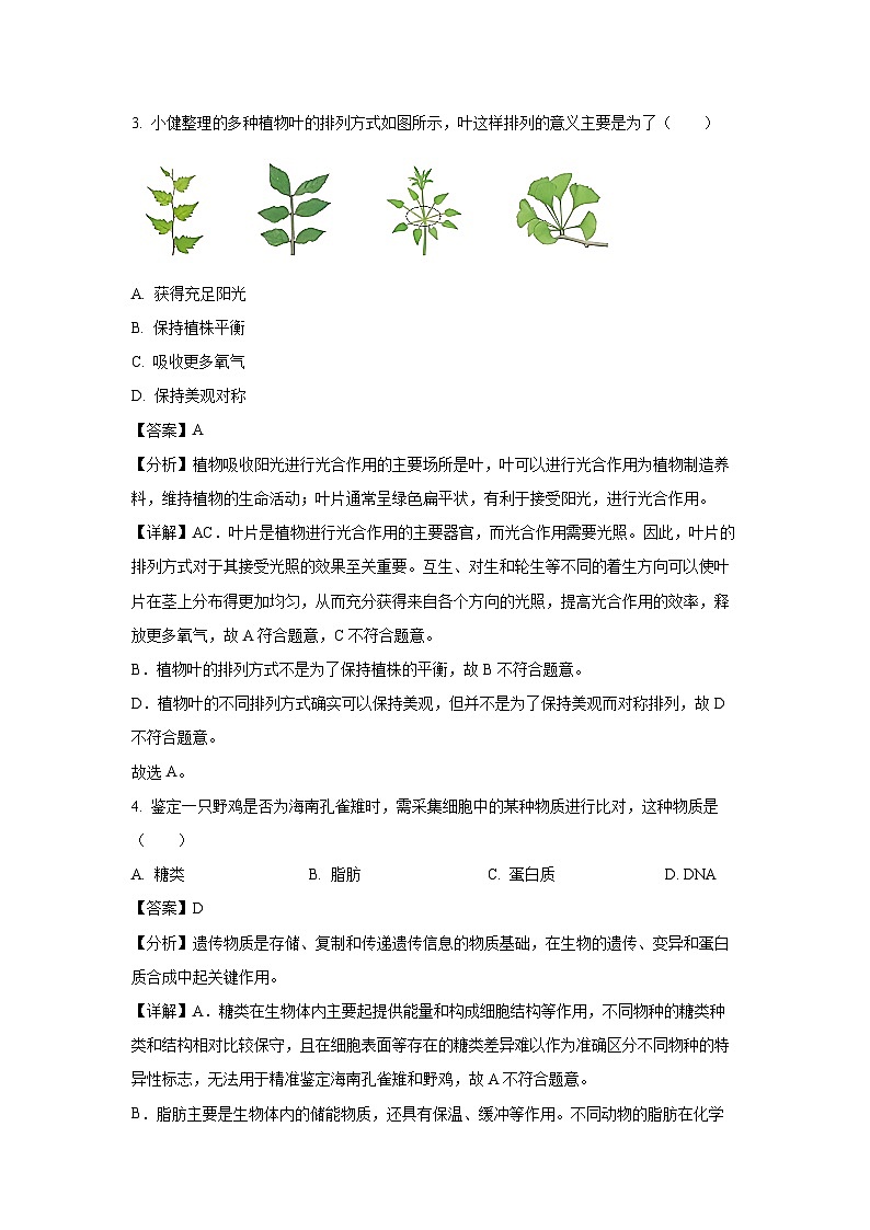 2024~2025学年海南省五指山市七年级上学期期末生物试卷（解析版）第2页
