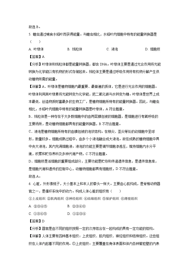 2024~2025学年河南省周口市沈丘县七年级上学期期末生物试卷（解析版）第3页