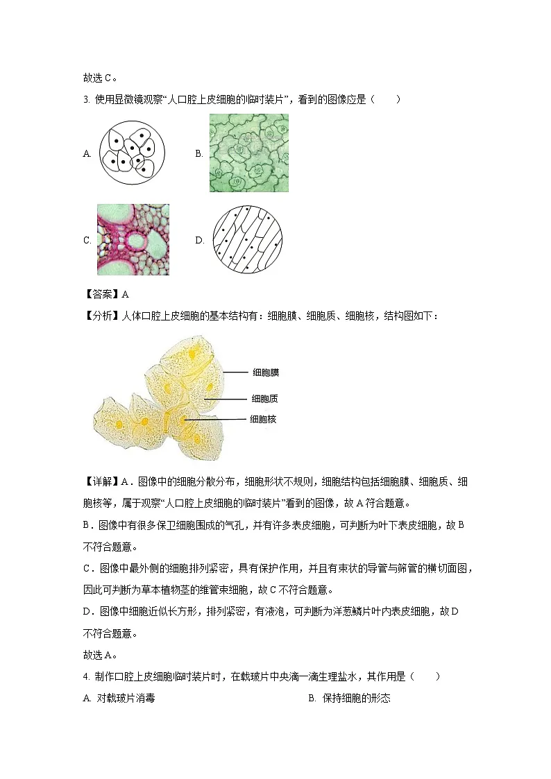 2023~2024学年江苏省徐州市丰县七年级下学期期中生物试卷（解析版）第2页