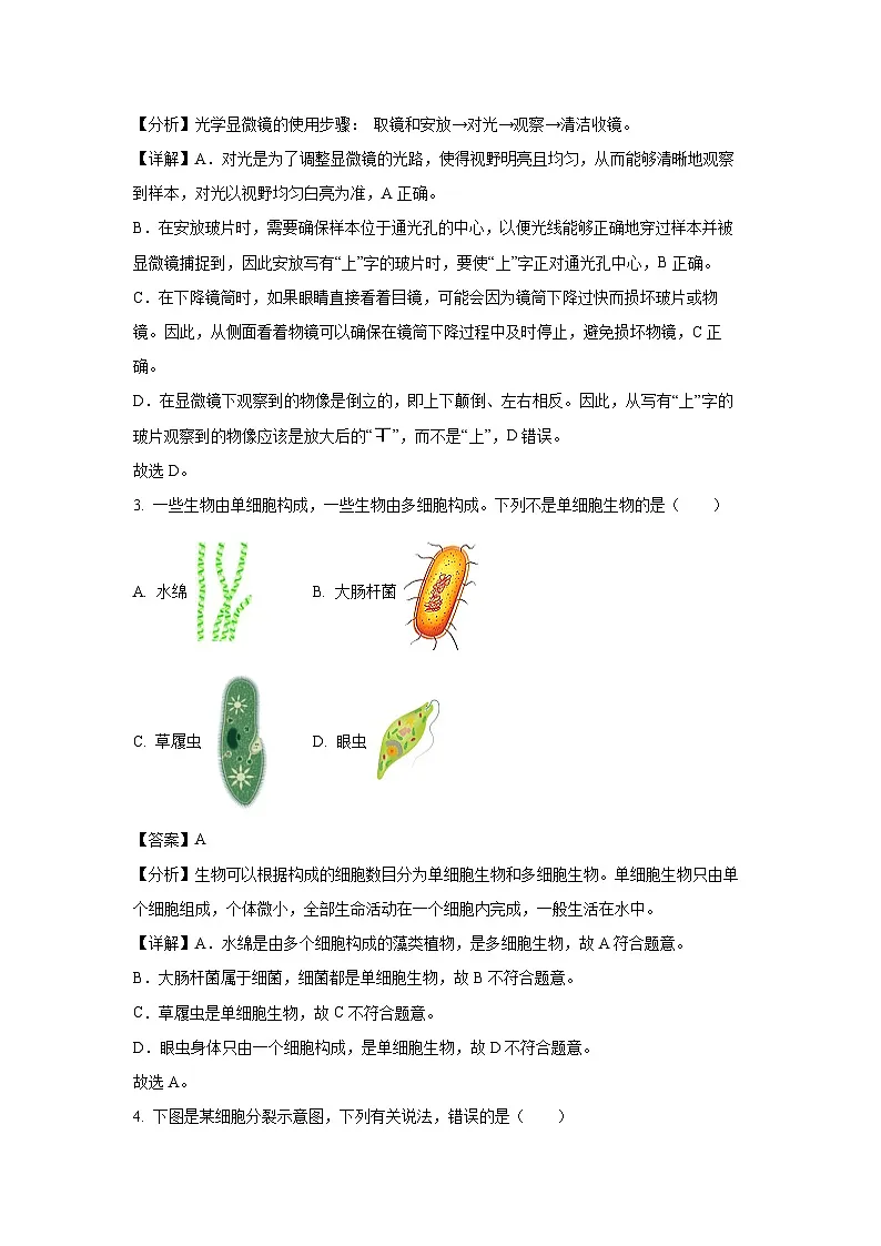 2024~2025学年河北省保定市高碑店市七年级上学期期末生物试卷（解析版）第2页