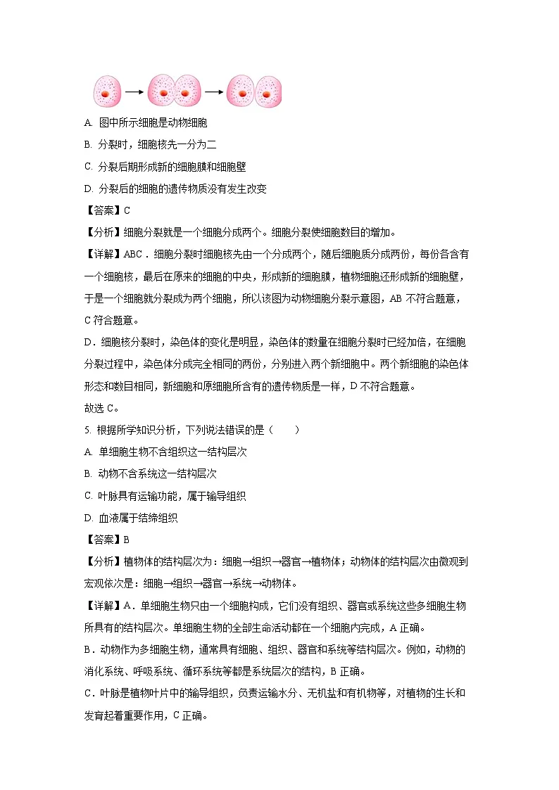 2024~2025学年河北省保定市高碑店市七年级上学期期末生物试卷（解析版）第3页