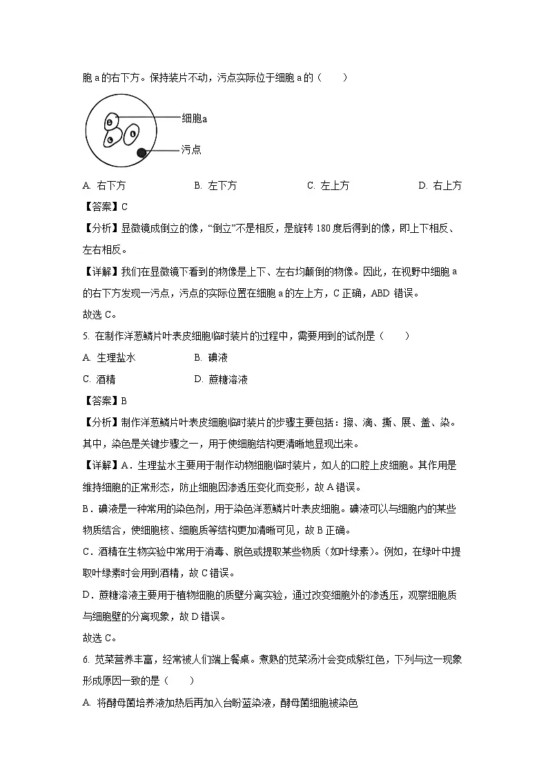 2024~2025学年河北省保定市阜平县七年级上学期期末生物试卷（解析版）第3页