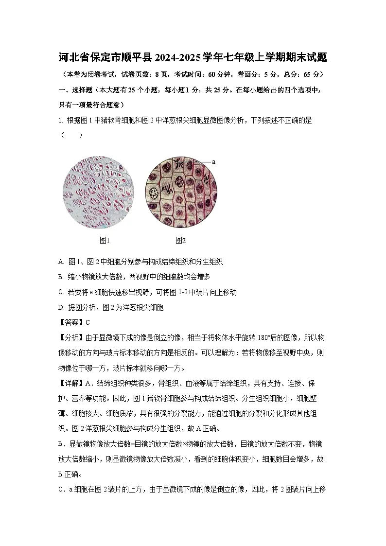 2024~2025学年河北省保定市顺平县七年级上学期期末生物试卷（解析版）第1页