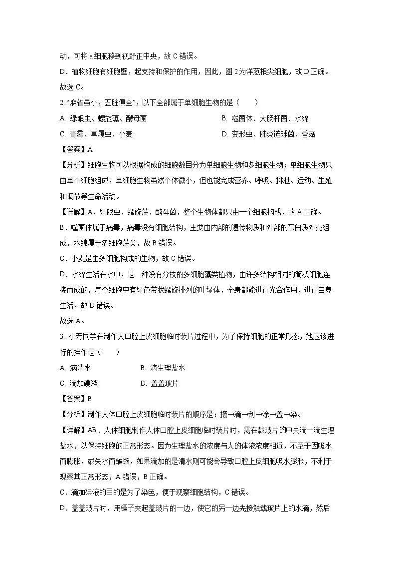 2024~2025学年河北省保定市顺平县七年级上学期期末生物试卷（解析版）第2页
