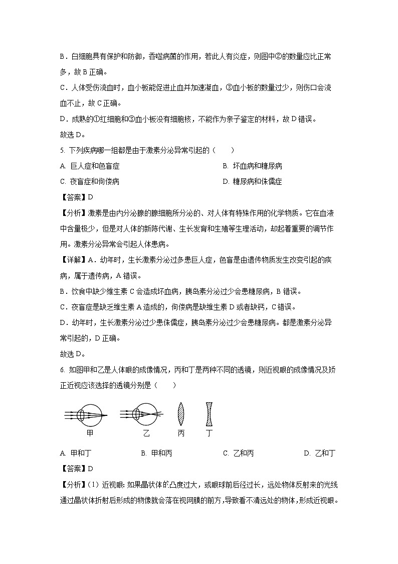 2024~2025学年江苏省镇江市句容市八年级上学期期末生物试卷（解析版）第3页