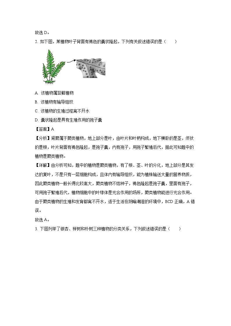 2024~2025学年江苏省盐城市东台市八年级上学期期末生物试卷（解析版）第2页