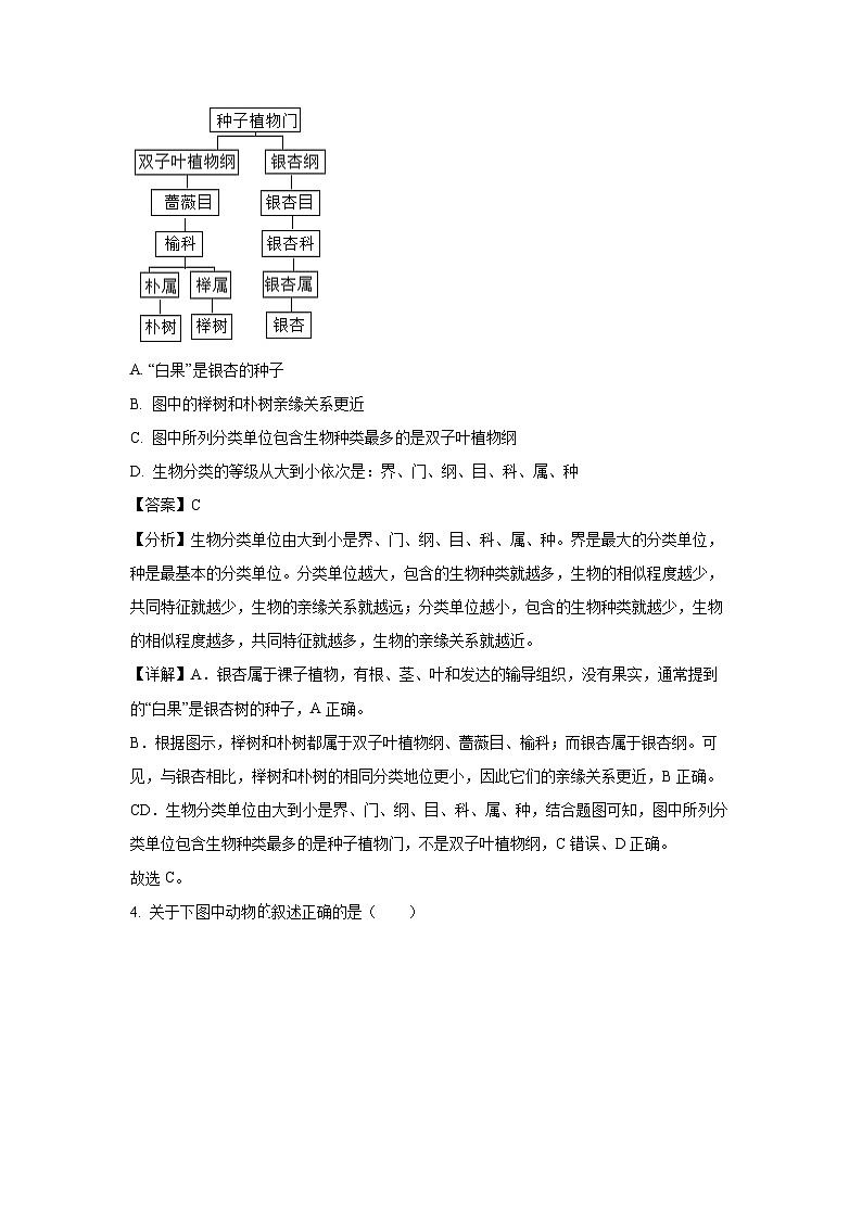 2024~2025学年江苏省盐城市东台市八年级上学期期末生物试卷（解析版）第3页
