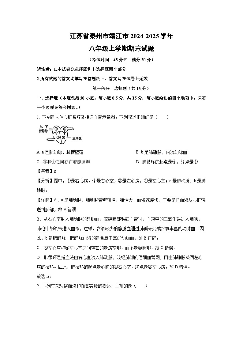 2024~2025学年江苏省泰州市靖江市八年级上学期期末生物试卷（解析版）第1页