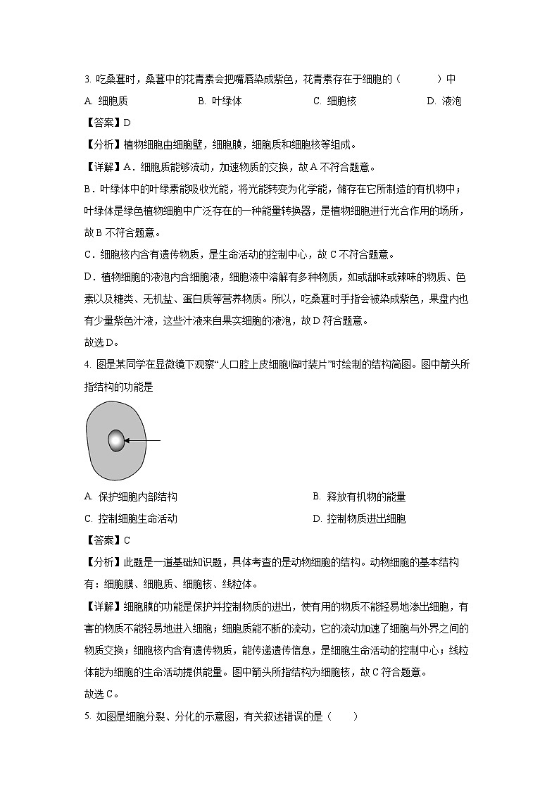 2023~2024学年江苏省徐州市铜山区某校七年级下3月月考生物试卷（解析版）第2页